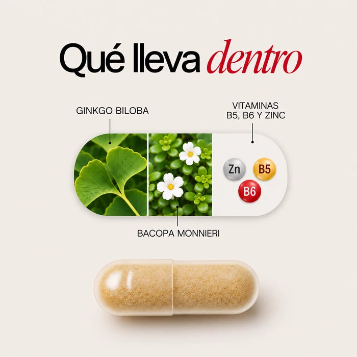 Los ingredientes de viba: ginkgo biloba, bacopa monnieri, zinc, B5 y B6